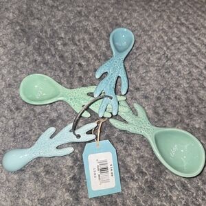 Coral Reef Measuring Spoons Ceramic New